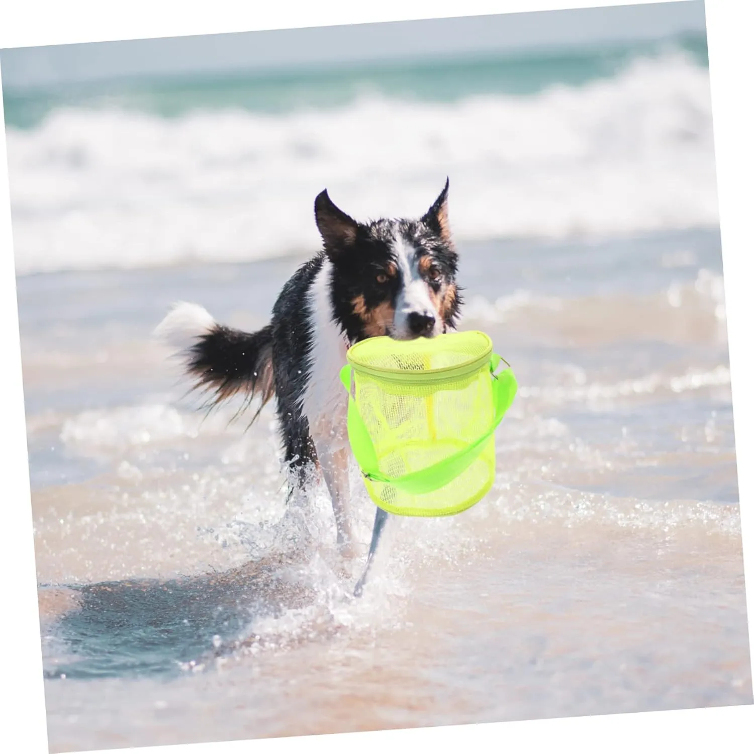 3-Pack Beach Storage Bags - Toddler Beach Toys Cage Mesh Shell Bags for Picking Up Shells, Snacks, Essentials - High Capacity PVC Child Essentials Backpack