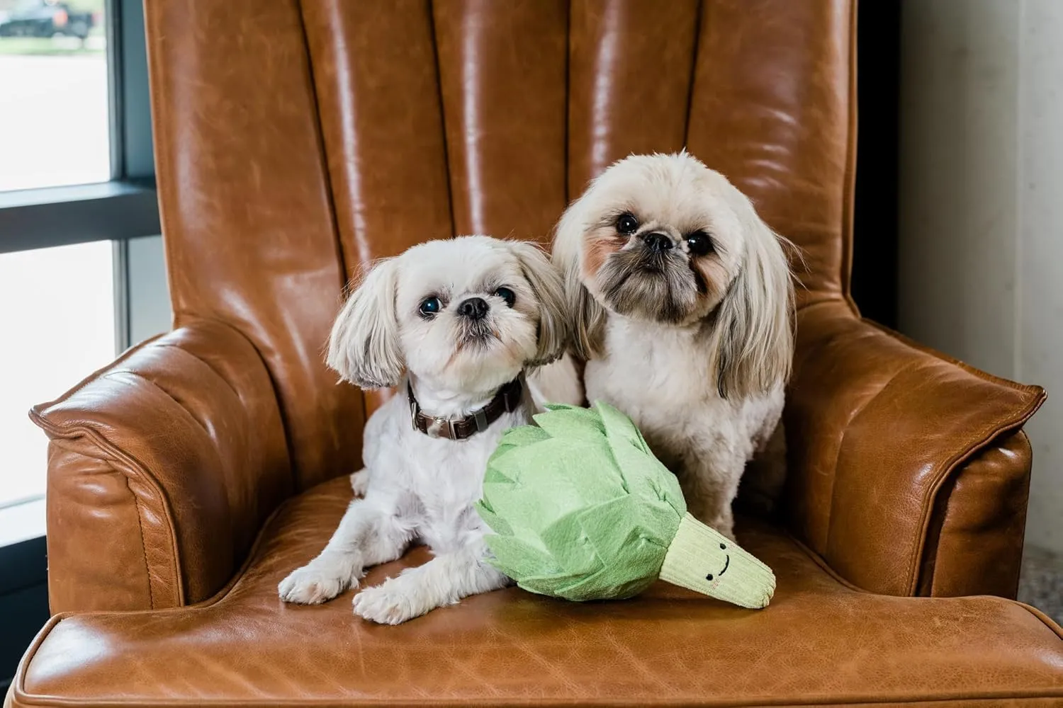Artichoke Snuffle Toy for Dogs, Interactive Dog Treat Puzzle, Puppy Plush Chew Toy, Machine Washable Dog Enrichment, Made of Recycled Materials, All Breed Sizes, Artichoke
