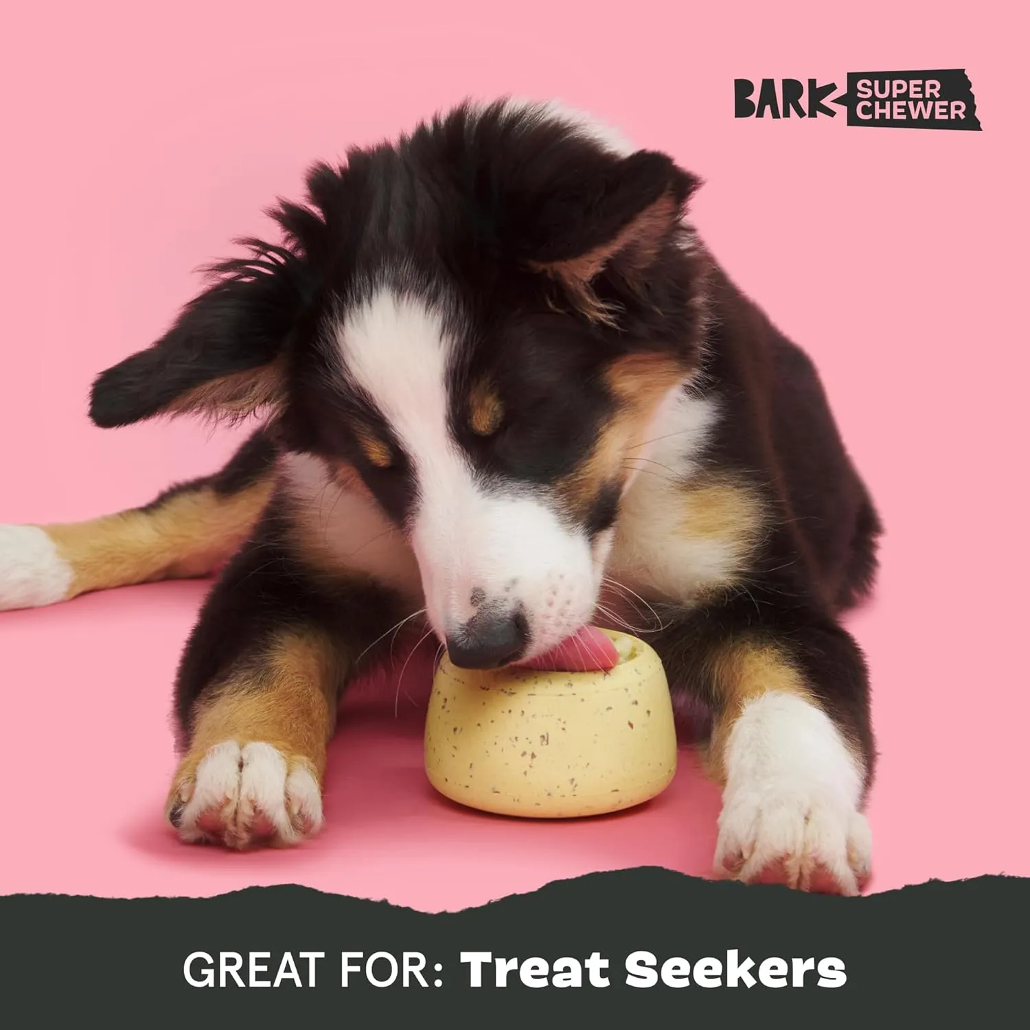 Barkbox Super Chewer Cinamutt Roll Treat Dispensing Toy for Dogs and Puppies, Medium and Large Dogs