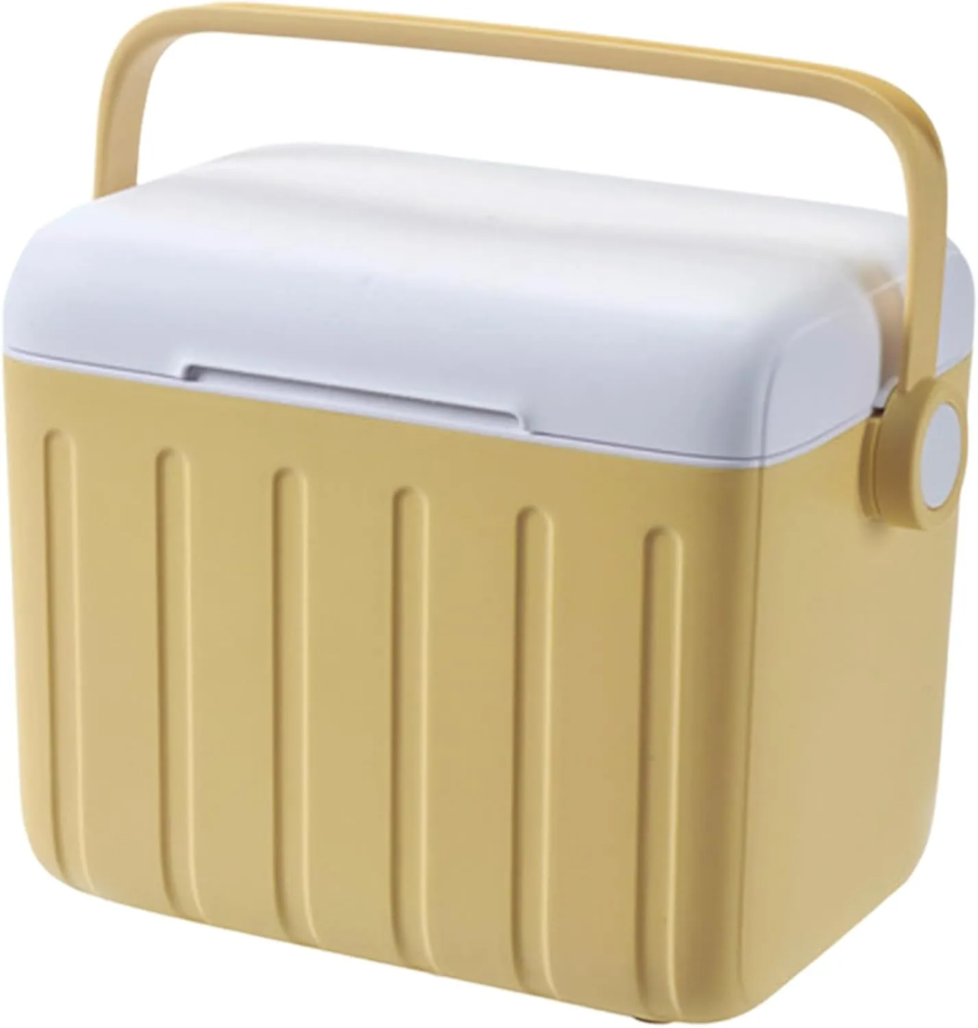 Cooler Box, Camping Thermal Box, Cooling Chest, 6l, Features a Tightly Sealed Lid, Compact Yet Spacious, Double-Layer Insulation, Ideal for Travel, Camping, Fishing