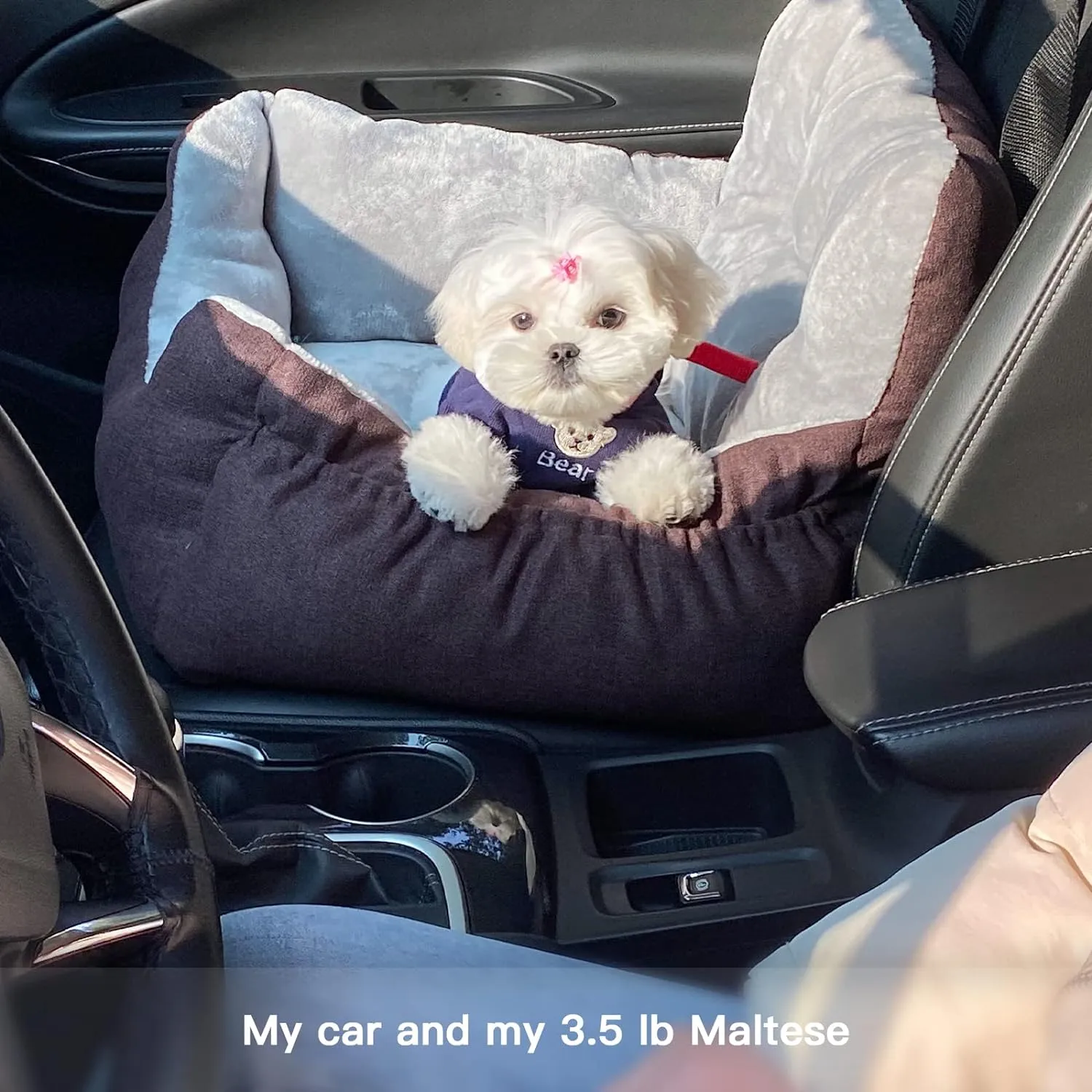 LFC PETS Dog Car Seats for Small Dogs, Washable Dog Carseats Small Under 25, Warm Soft Dog Booster Seats with Safety Leash, Portable Dog Car Bed