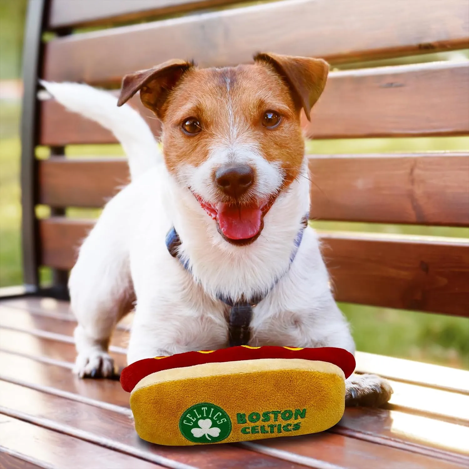 Pets First NBA Boston Celtics HOT Dog Plush Dog & CAT Squeak Toy - Cutest HOT-Dog Snack Plush Toy for Dogs & Cats with Inner Squeaker & Beautiful Basketball Team Name/Logo 8 x 5 x 3 Inches
