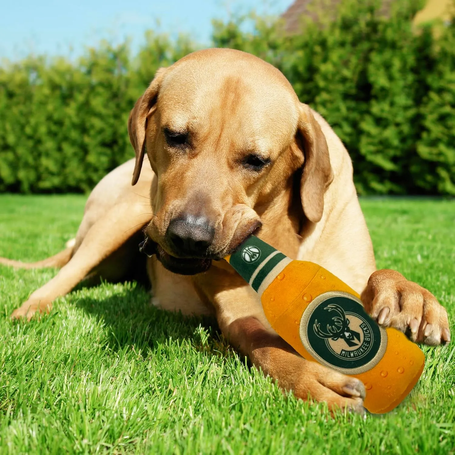 Pets First NBA Milwaukee Bucks Beer Bottle Plush Dog & CAT Squeak Toy - Cutest Stadium SODA Bottle Snack Plush Toy for Dogs & Cats with Inner Squeaker & Beautiful Basketball Team Name/Logo