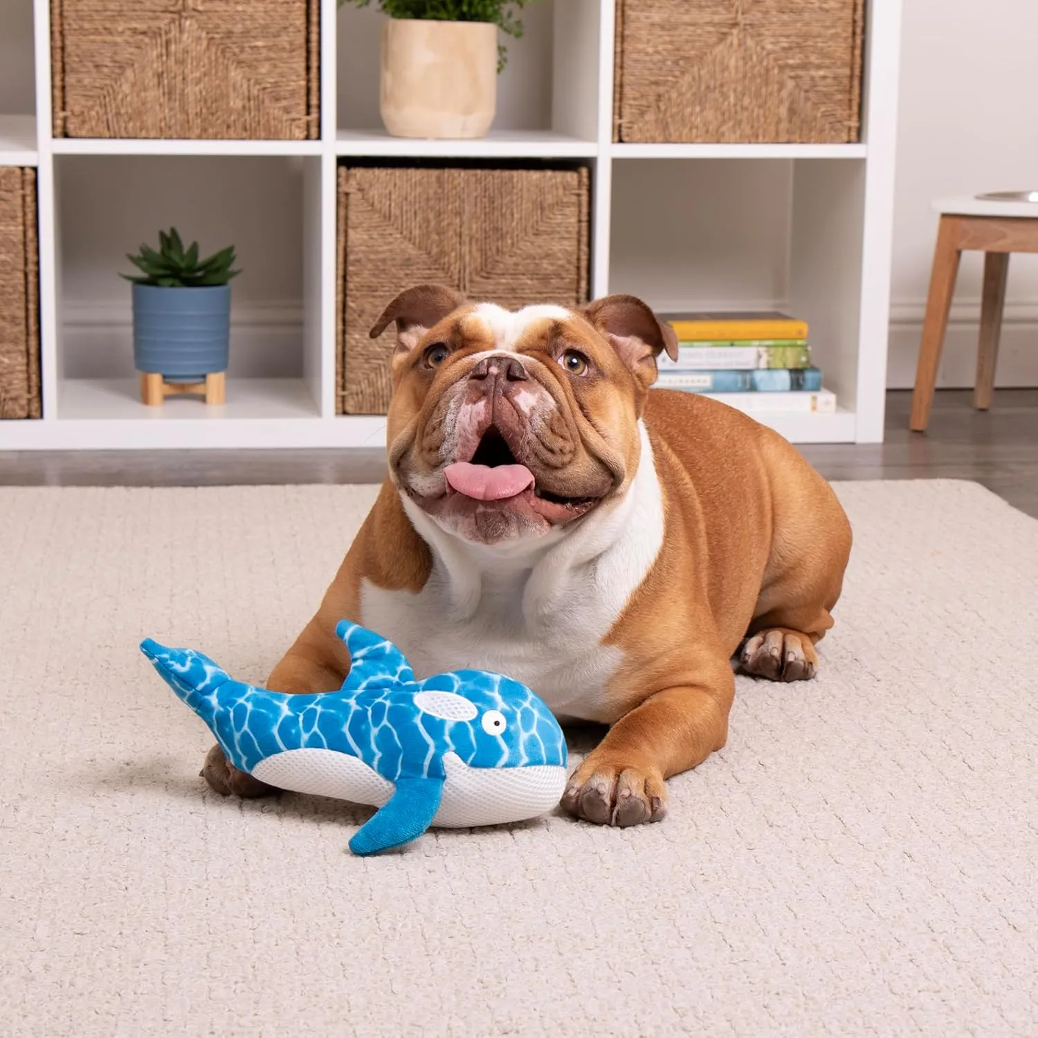 Strong 'N Silent Swimmer Soft Plush Orca Squeaker Chew Guard Dog Toy - Blue, Large