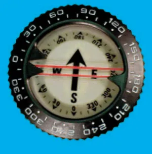 Trident Oceanic Style Compass Module