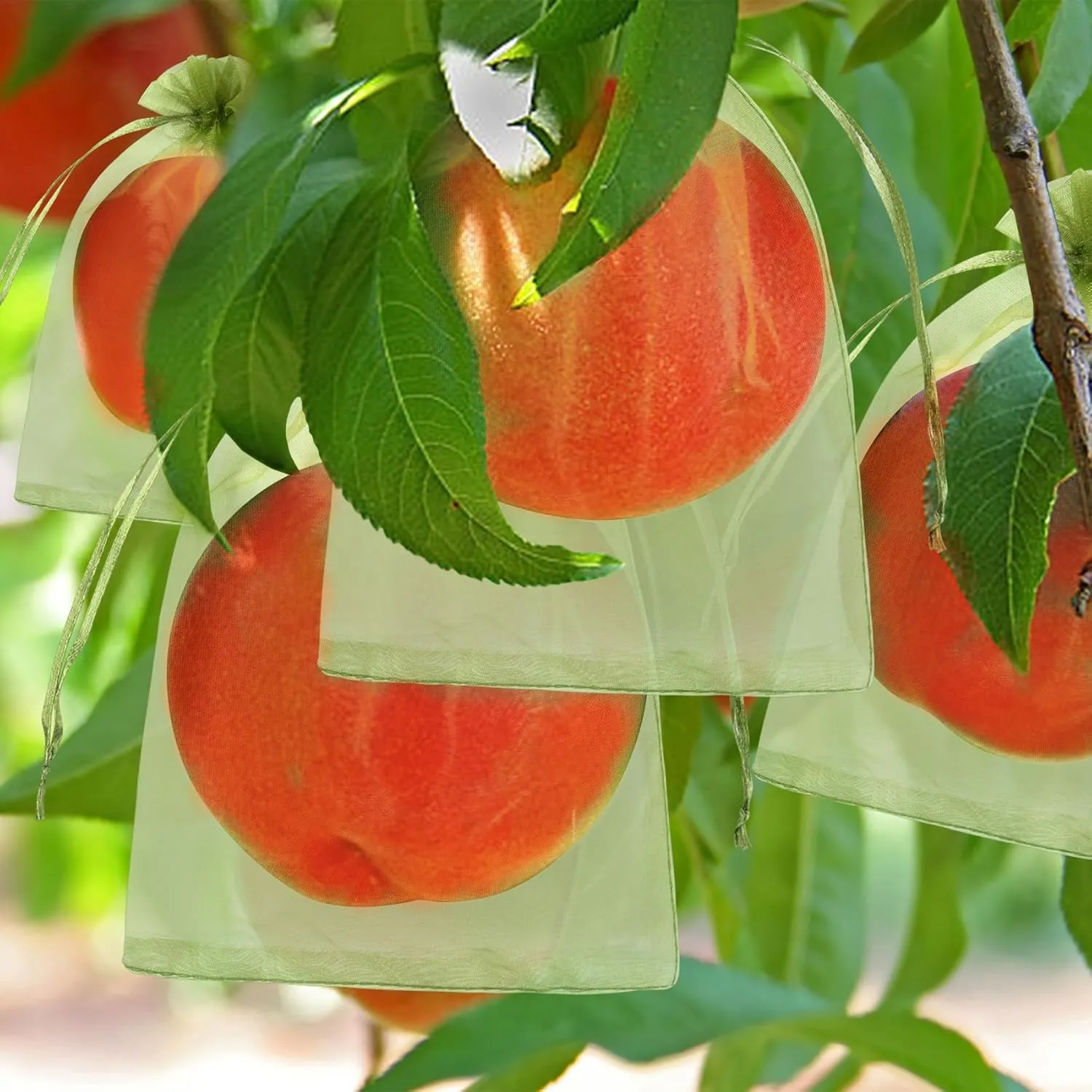Unves 80 Pcs Fruit Protection Bags, 6x8 Inch Drawstring Mesh Fruit Bags for Fruit Trees Apple Orange Figs Tomatoes Strawberry Plant Protection, Mesh Bags for Vegetables Fruit Tree Netting Covers Bags