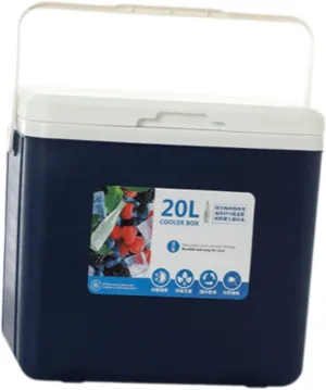 YIJU Cooler Box Ice Box Personal Portable with Handle Insulated Box Ice Chest Small for Beach Party Outdoor Barbecue Fresh Keeping